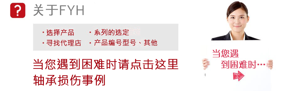 关于FYH・当您遇到困难时请点击这里 - 軸受損傷例 | FYH